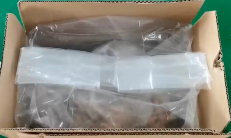 大米提袋封口机检修中心